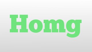 Homg meaning and pronunciation