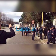 Aleanca Kuqezi te Ministria e Jashtme