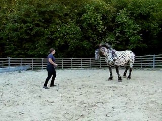 Angelika & Jakob, August 2013