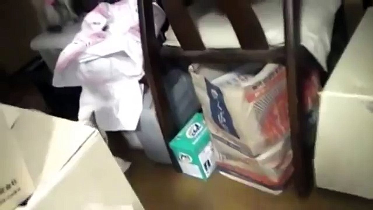 Cat Cleans the Floor