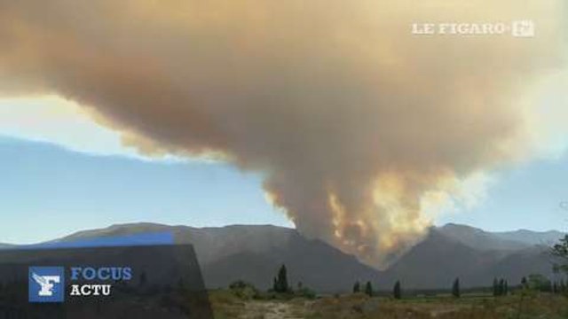 Chili : un sanctuaire d'arbres multi-centenaires menacé par les flammes