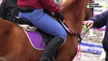 VIDEO. L'équitation adaptée part au galop à Lamotte-Beuvron