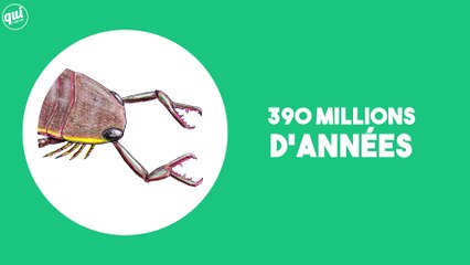 8 animaux disparus absolument fascinants