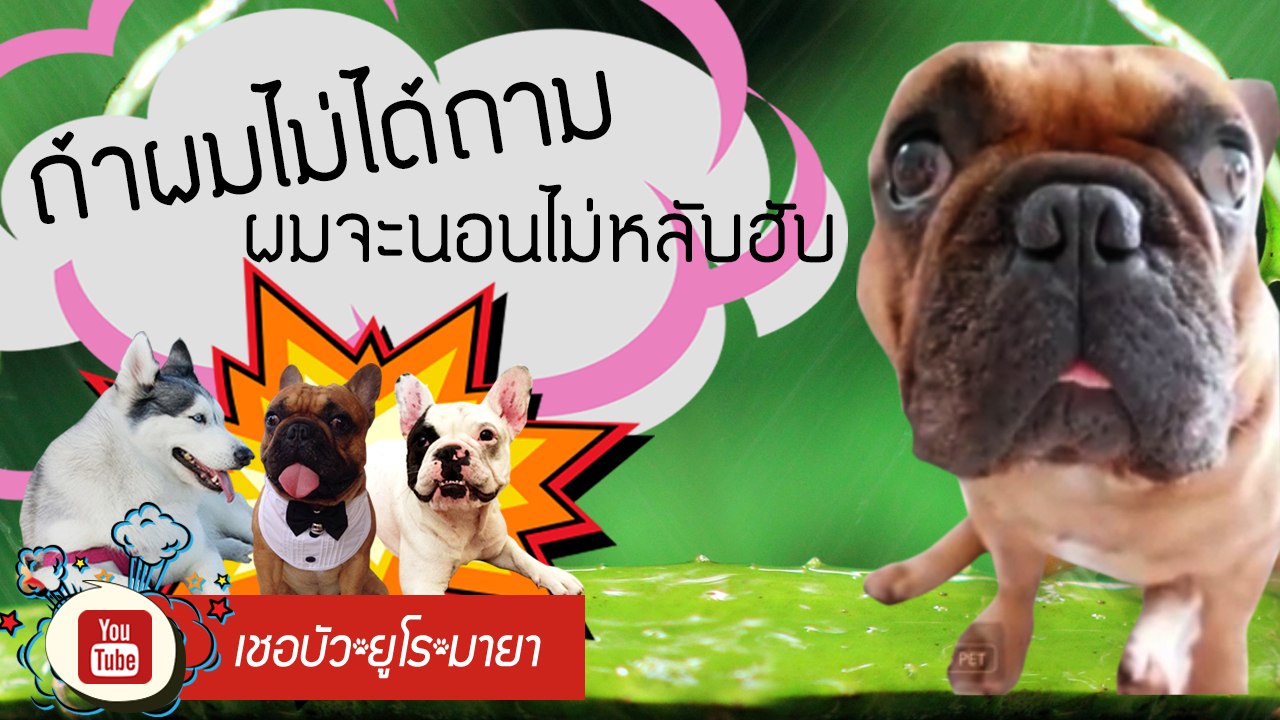 เชอบัว ยูโร มายา ตอนที่ 27 ถ้าผมไม่ได้ถาม ผมจะน...
