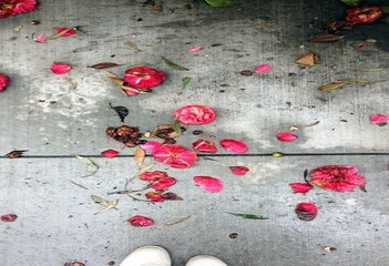 SBO 에이전시 ▤☂▤Ｓupercar1２３。COM 가입:6623▤☂▤해외양방수입