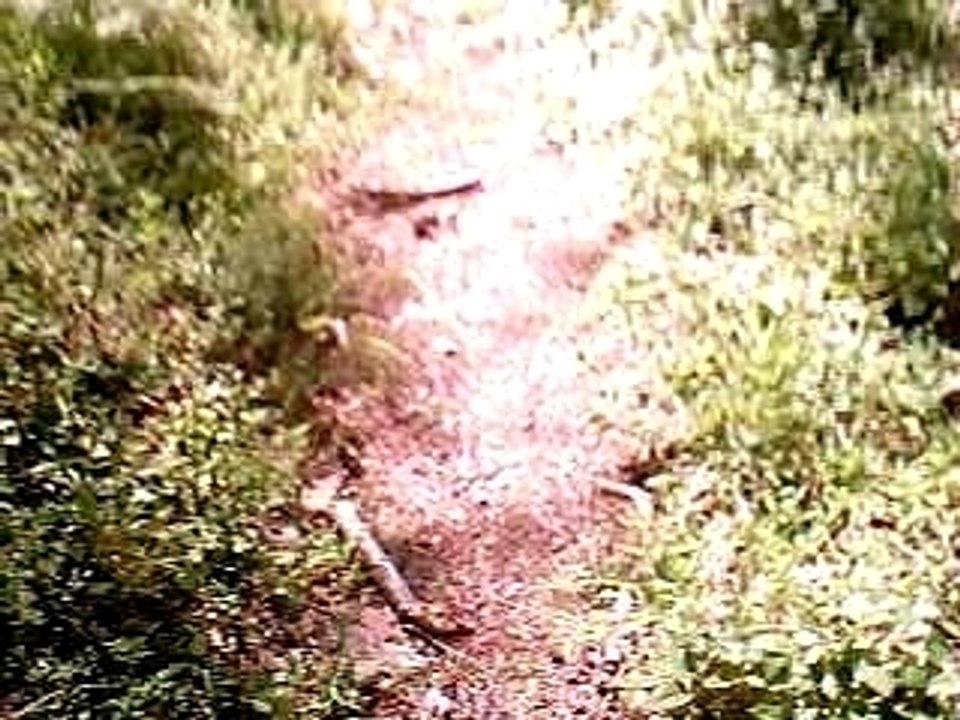 descente vtt ardeche 07  1