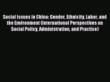 Read Social Issues in China: Gender Ethnicity Labor and the Environment (International Perspectives