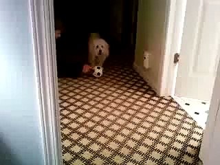 Charlie plays soccer