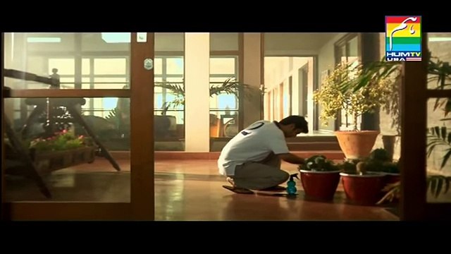 Woh Humsafar Tha HD Humsafar top songs 2016 best songs new songs upcoming songs latest songs sad songs hindi songs bollywood songs punjabi songs movies songs trending songs mujra dance Hot songs