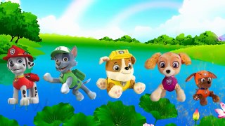 Paw Patrol Finger Family | 3D Animation Nursery Rhymes | Finger Family Song