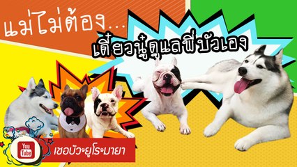 เชอบัว ยูโร มายา ตอนที่ 6  ใครจะไปเที่ยวบ้าง!!!