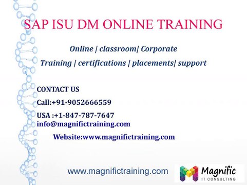 SAP ISU DM ONLINE TRAINING CANADA|AUSTRALIA|SOUTH AFRICA