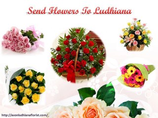 Send Flowers to Ludhiana