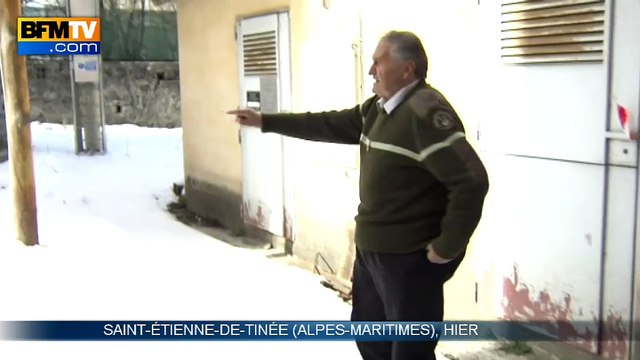 Alpes-Maritimes: des loups dévorent une biche en plein cœur du village