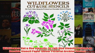 Download PDF  Wildflowers Cut  Use Stencils 52 FullSize Stencils Printed on Durable Stencil Paper FULL FREE