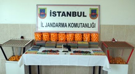 Çadırda Tombalaya Jandarma Baskını: 95 Kişi Gözaltında