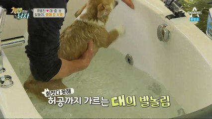 【OlO↔29O8↔6555】 잠원동출장안마 반포동출장안마 방배동출장안마