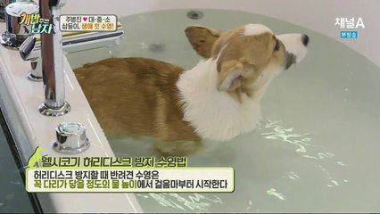 화성출장안마 O1O↔29O8↔6555＊ 화성출장마사지 NO콘＃샤워!★스타킹/여대生♬후불출장안마후기乃