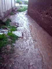 PTI Supporter expsing Performance of KPK Govt.