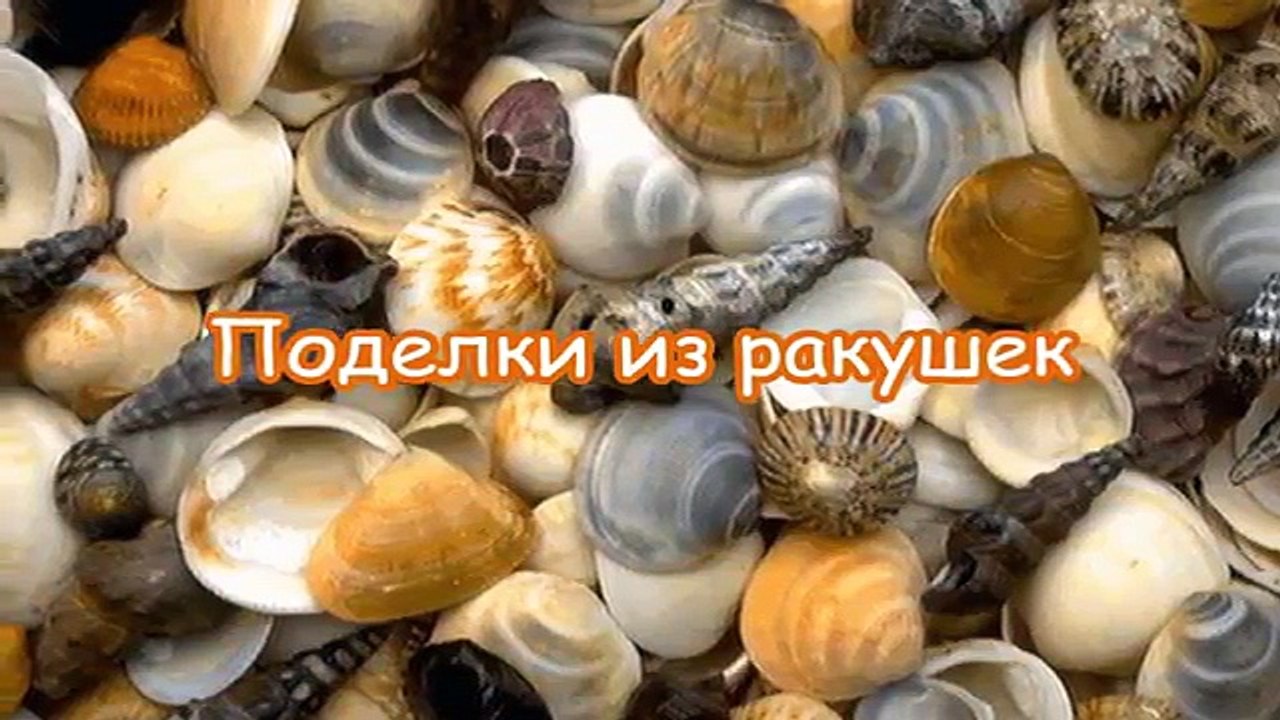 Оригинальные поделки из ракушек - сундук идей из интернета.