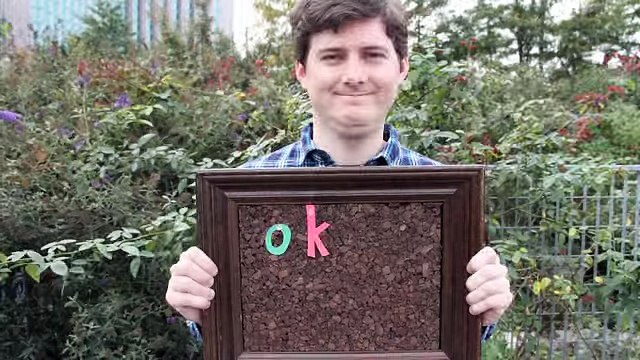 Cheer Up Grumpy Cat top songs 2016 best songs new songs upcoming songs latest songs sad songs hindi songs bollywood songs punjabi songs movies songs trending songs mujra dance Hot songs