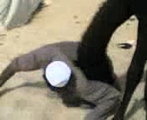 funny camel top songs 2016 best songs new songs upcoming songs latest songs sad songs hindi songs bollywood songs punjabi songs movies songs trending songs mujra dance Hot songs