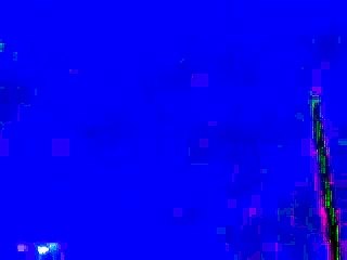 Group of Bats flying together in the sky at night