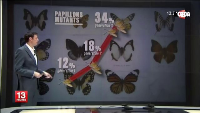 Les mutations à Fukushima 18 mois après le tsunami