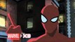 Marvel's Ultimate Spider-Man Web Warriors - 