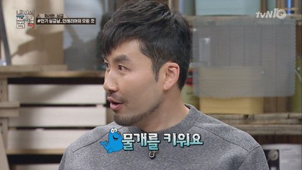 싱글남들이 인테리어하는 이유? "물개까지 키운다"