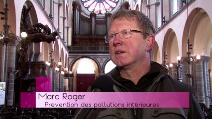 Analyse et prévention de la mérule : l'effet cathédrale !