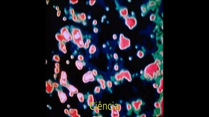 Evolução, o maior espetáculo da terra - Sinfonia da Ciência (legendado) [PT-BR]