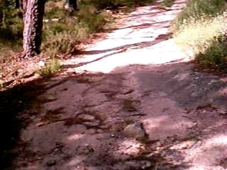 descente vtt ardeche 07  3