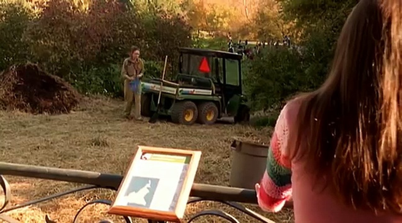 Wonderfalls S01E09 Safety Canary