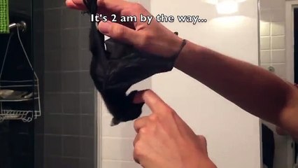 Very cute feisty little orphaned Black Flying Fox