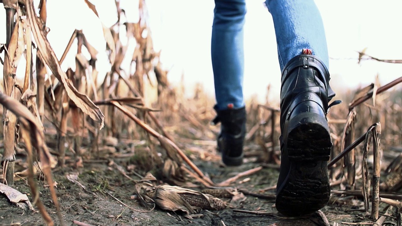 MissinCat - 'Daylight Remix' feat. Winterkind