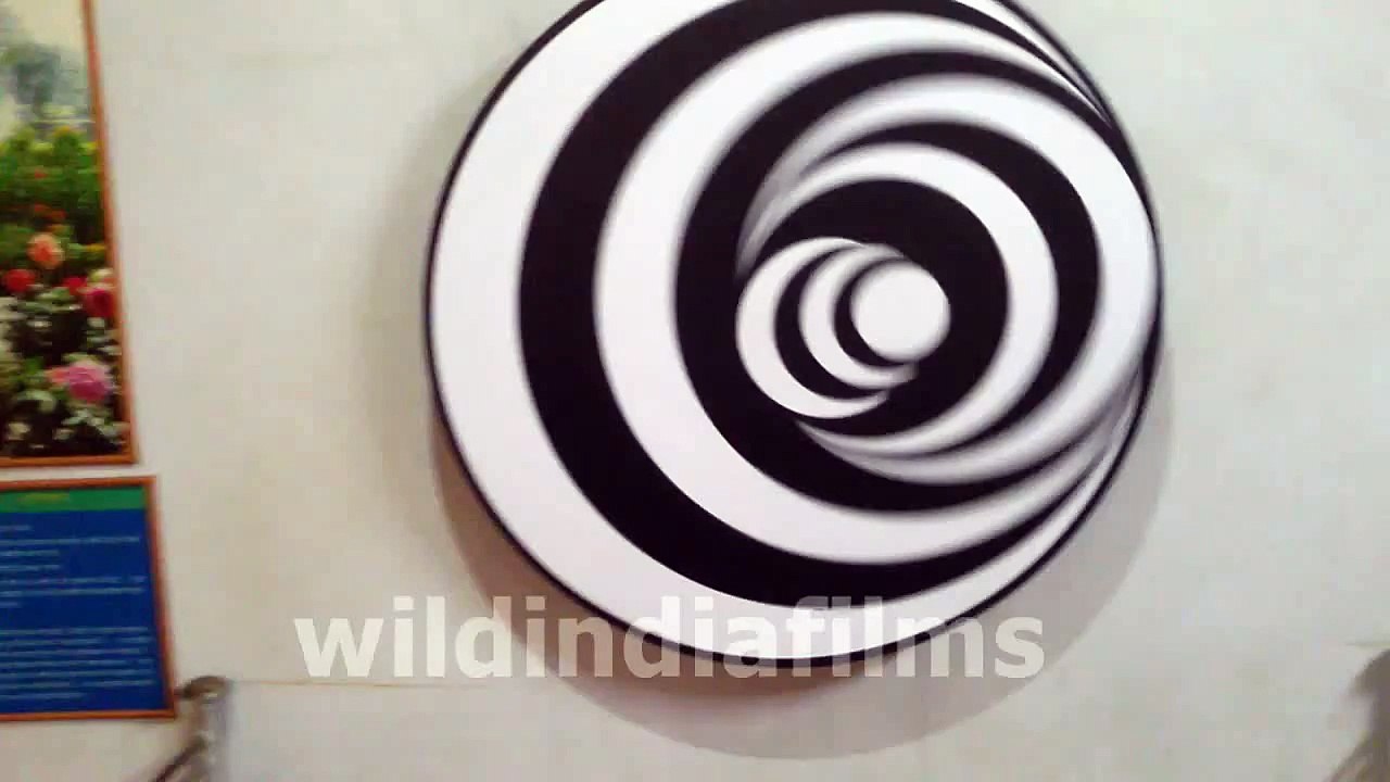 3D - Illusions