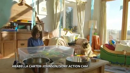 A incrível história de Iris e do seu gato Thula