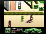 Teenage Mutant Ninja Turtles [Nintendo]