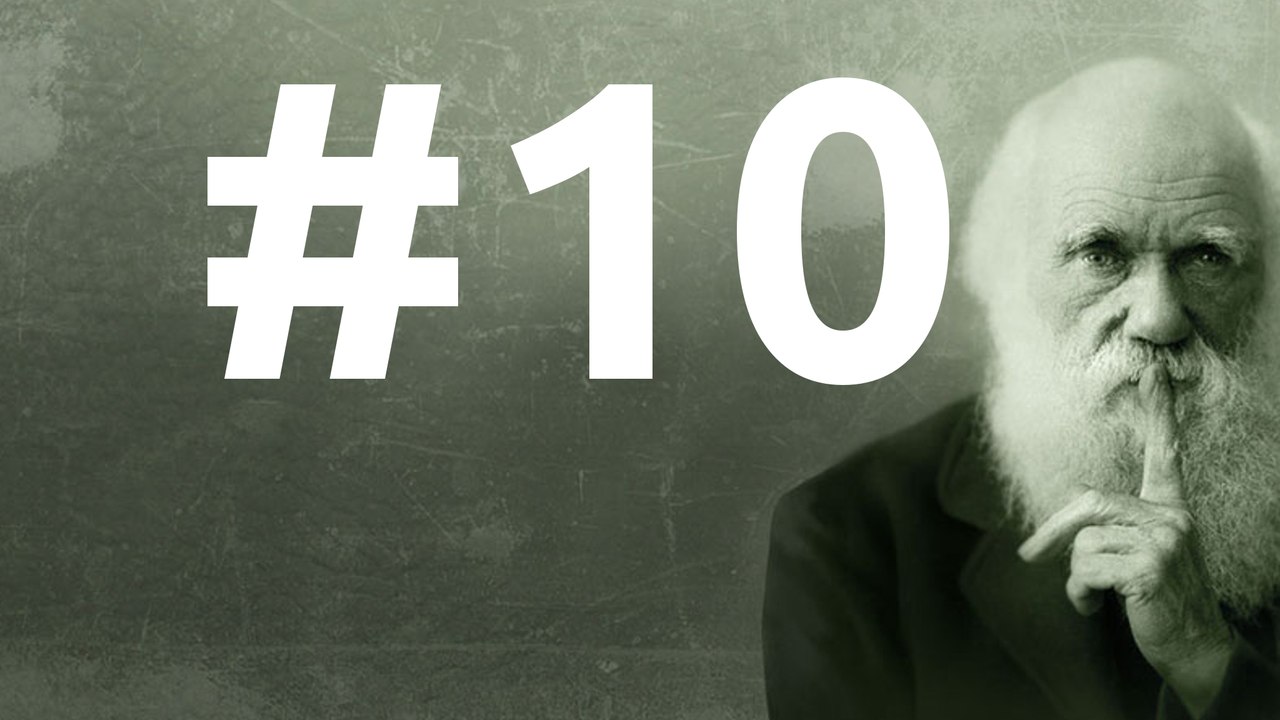 SLEDD#10 du 6 novembre 2010, Un voyage avec Oliver Sacks (1)