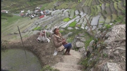 Milenarios arrozales en Filipinas en peligro por el abandono