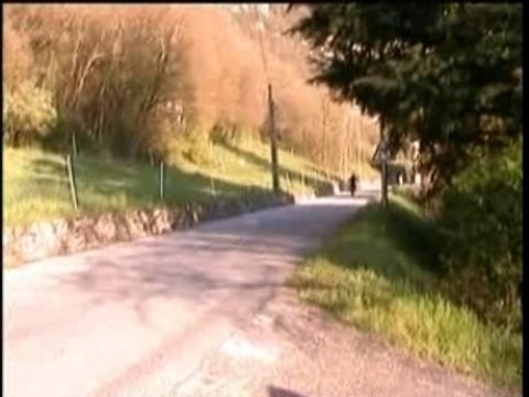 Derbi pro race 75 cc