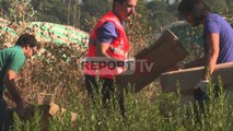 Report TV - Veliaj: Të dielën 'dush' Tiranës për  Ditën e Verës, të gjithë në aksion