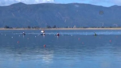 Kano Milli Takım Seçme Yarışları Başladı