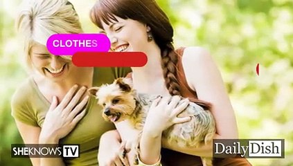 Keep Your Dog Happy and Healthy This Summer