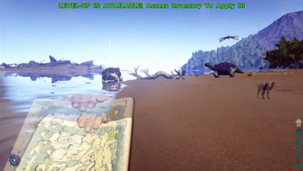 [PT] A REVOLTA DOS PACHY | ARK - Survival Evolved #2