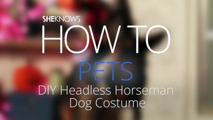 Headless Horseman Dog Costume