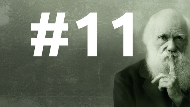 SLEDD#11 du 13 novembre 2010, Un voyage avec Oliver Sacks (2)