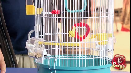 Man Eats Cute Bird Prank