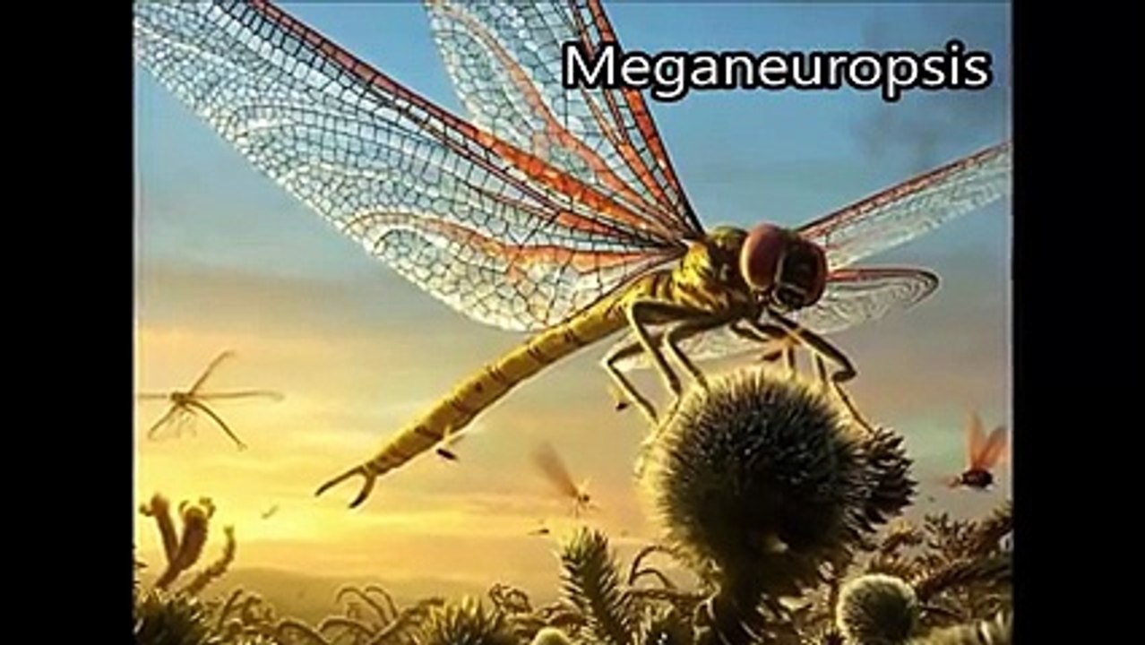 Dünyanın Gelmiş Geçmiş En Büyük 10 Hayvan Türü Yok Böyle Bir